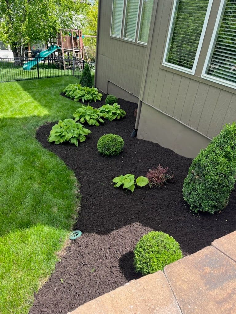 Project Lush Backyard Makeover in Olathe image