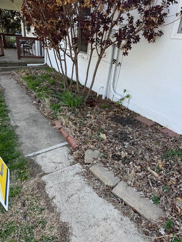 Stunning Natural Landscaping Transformation in Hometown