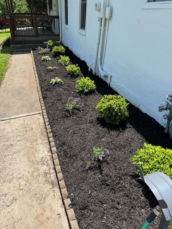 Gallery photos for Stunning Natural Landscaping Transformation in Hometown: Image #1