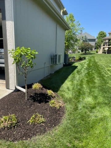 Transform Your Space with Modern Garden Designs