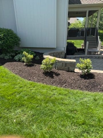 Transform Your Space with Modern Garden Designs