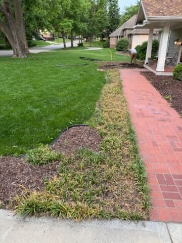 Transform Your Lawn with Expert Landscaping