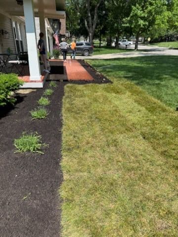 Gallery photos for Transform Your Lawn with Expert Landscaping: Image #2